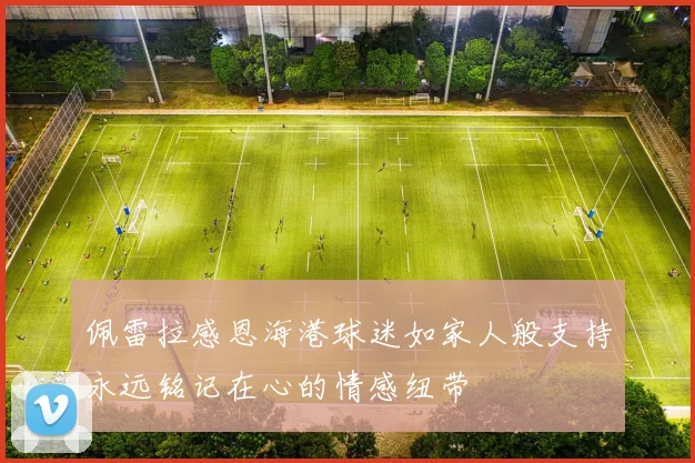 佩雷拉感恩海港球迷如家人般支持永远铭记在心的情感纽带